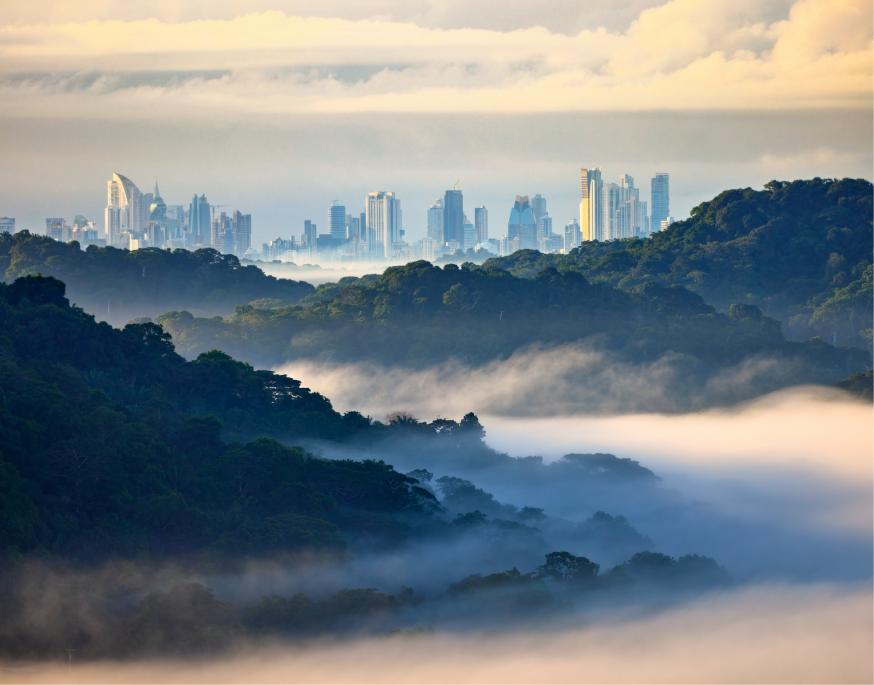 Canal de Panamá