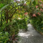 Baldi Hot Springs