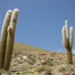 Bolivia