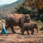 Chiang Mai, Tailandia