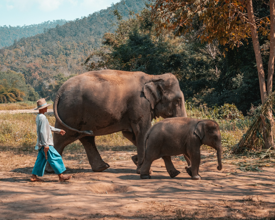 Chiang Mai, Tailandia