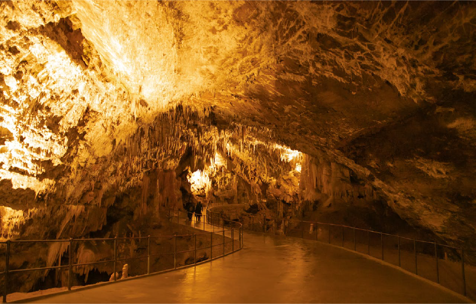 Cuevas de Postojna