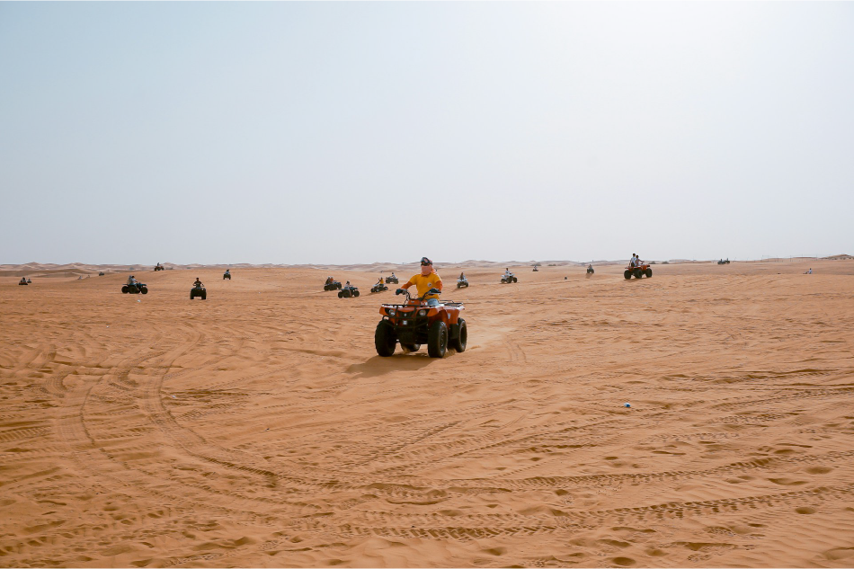 Desert Safari, Dubái
