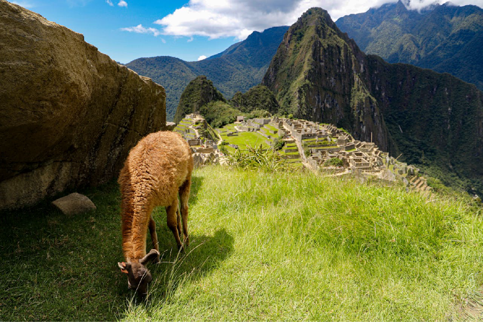 Machu Picchu