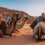 Pequeña Petra