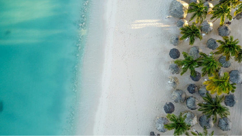 Hotel Holiday Inn Resort Aruba