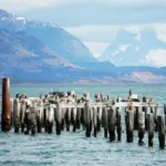 Puerto Natales, Argentina