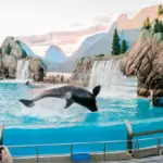 SeaWorld