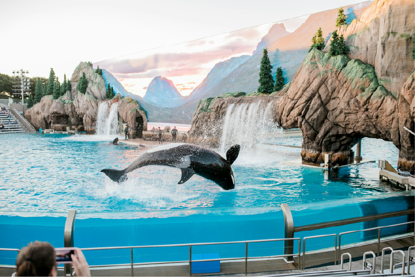 SeaWorld