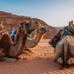 Wadi Rum