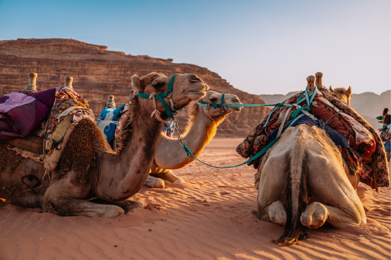 Wadi Rum