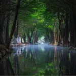 Xochimilco, México