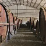 Bodegas, Ica, Perú