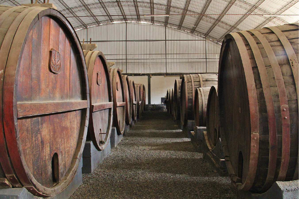 Bodegas, Ica, Perú