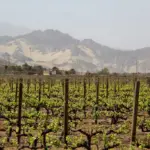Ica, Perú
