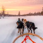 Credit: iStock/Subodh Agnihotri