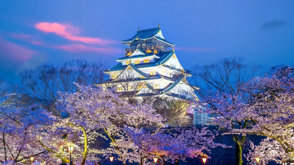 Credit: Shutterstock/ 11photo