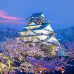 Credit: Shutterstock/ 11photo