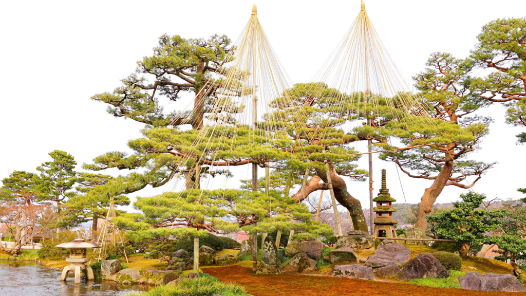 Credit: Shutterstock/ LEOCHEN66