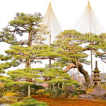 Credit: Shutterstock/ LEOCHEN66