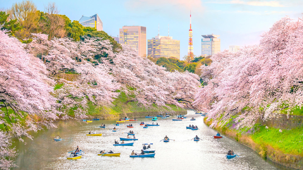 Credit: Shutterstock/ f11photo