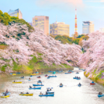 Credit: Shutterstock/ f11photo