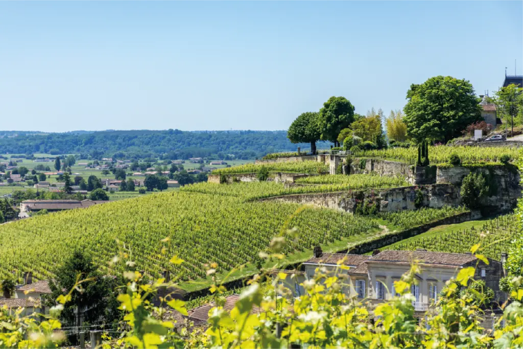 Bordeaux