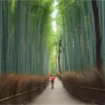 Bosque de Bambú de Arashiyama