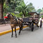 Experiencia Calesa