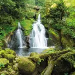 Cascadas de Triberg