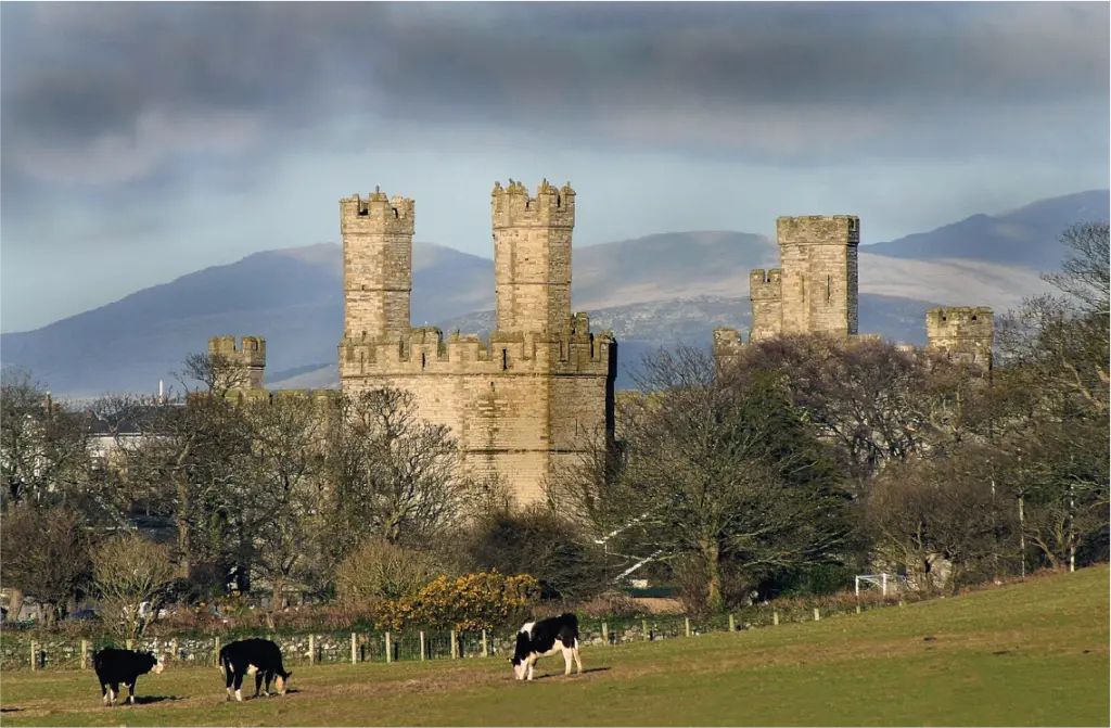 Castillo de Caernarfon