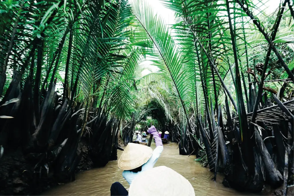 Delta del Mekong