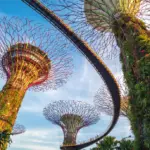 Gardens by the Bay