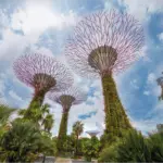 Gardens by the Bay