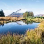 Glencoe
