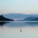 Lago Ness