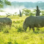 Lake Nakuru National Park