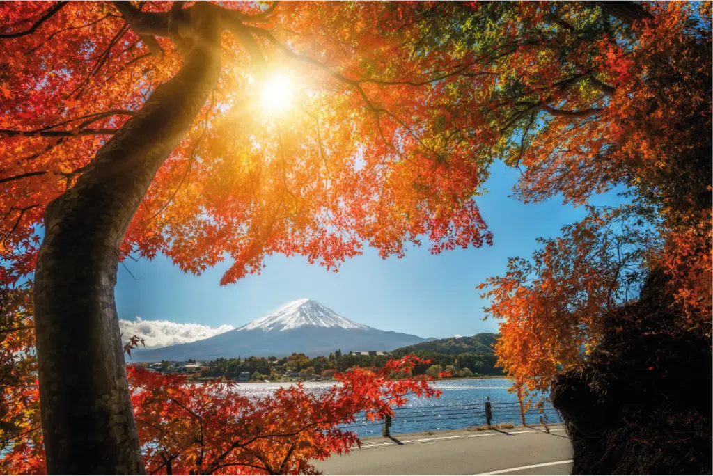 Monte Fuji desde Hakone