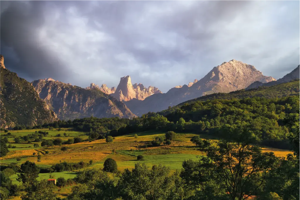 Picos de Europa