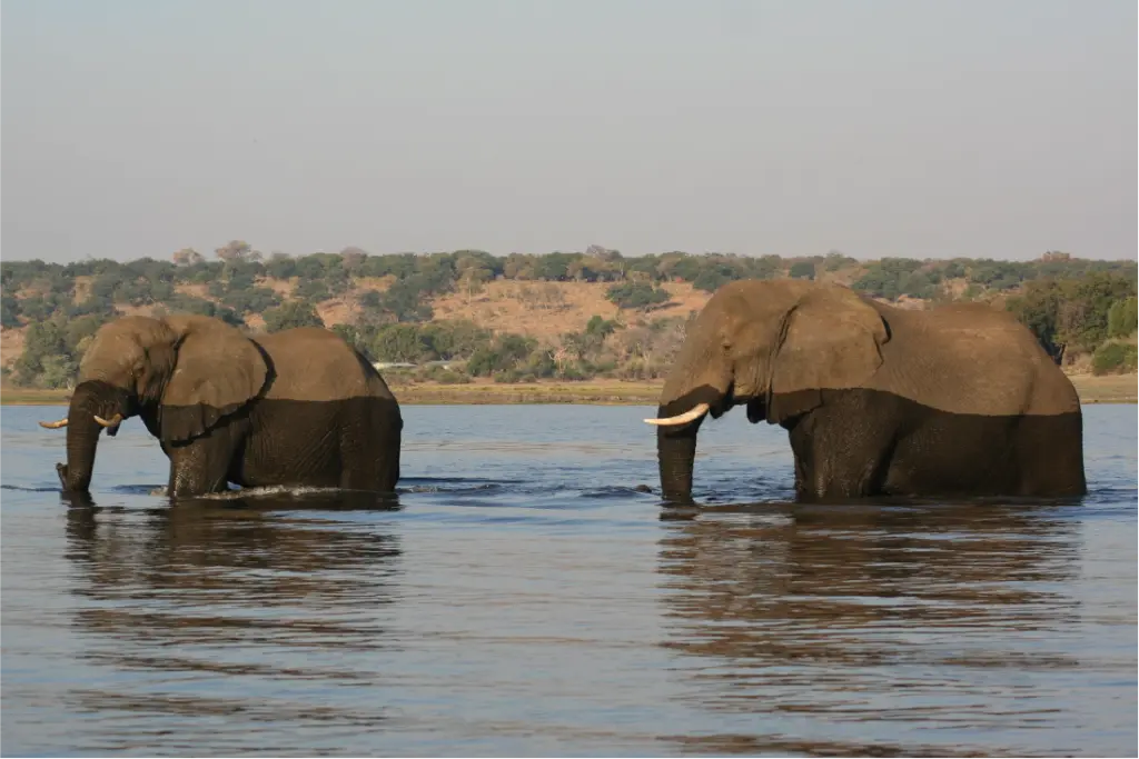 Reteti Elephant Sanctuary