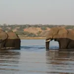 Reteti Elephant Sanctuary