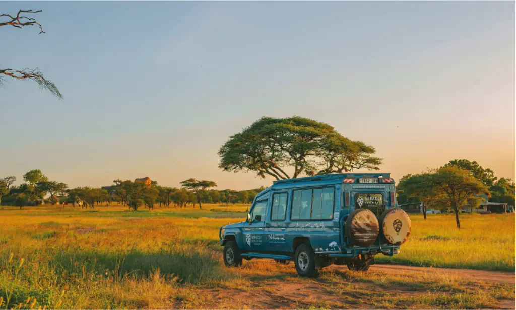 Safarí en África
