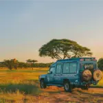 Safarí en África