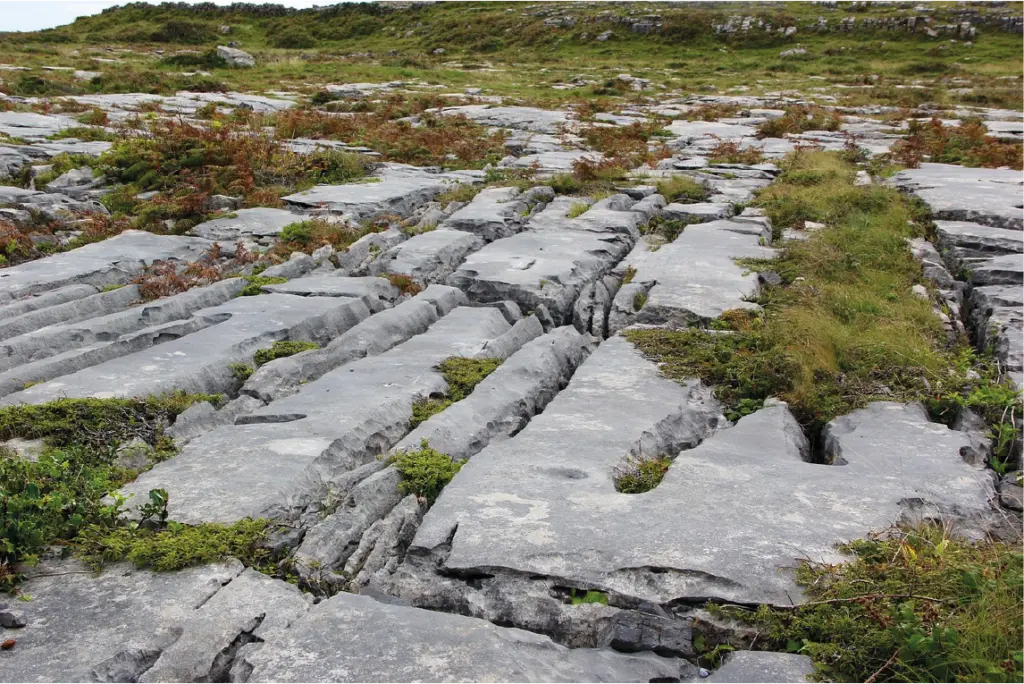 The Burren