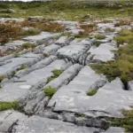 The Burren