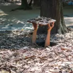 Túneles de Cu Chi