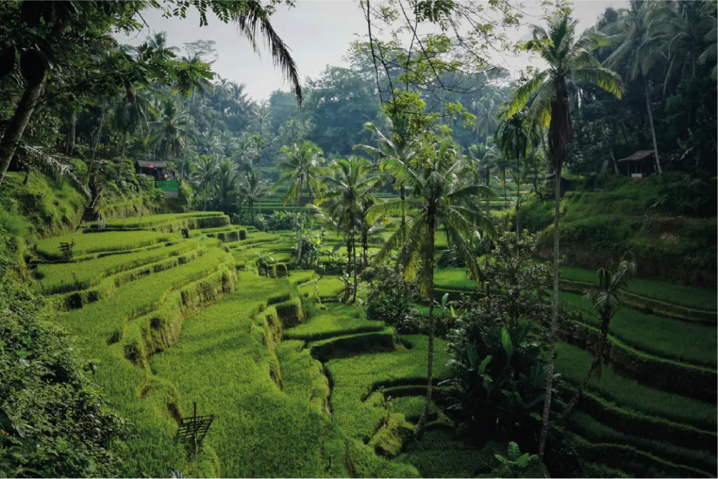 Ubud