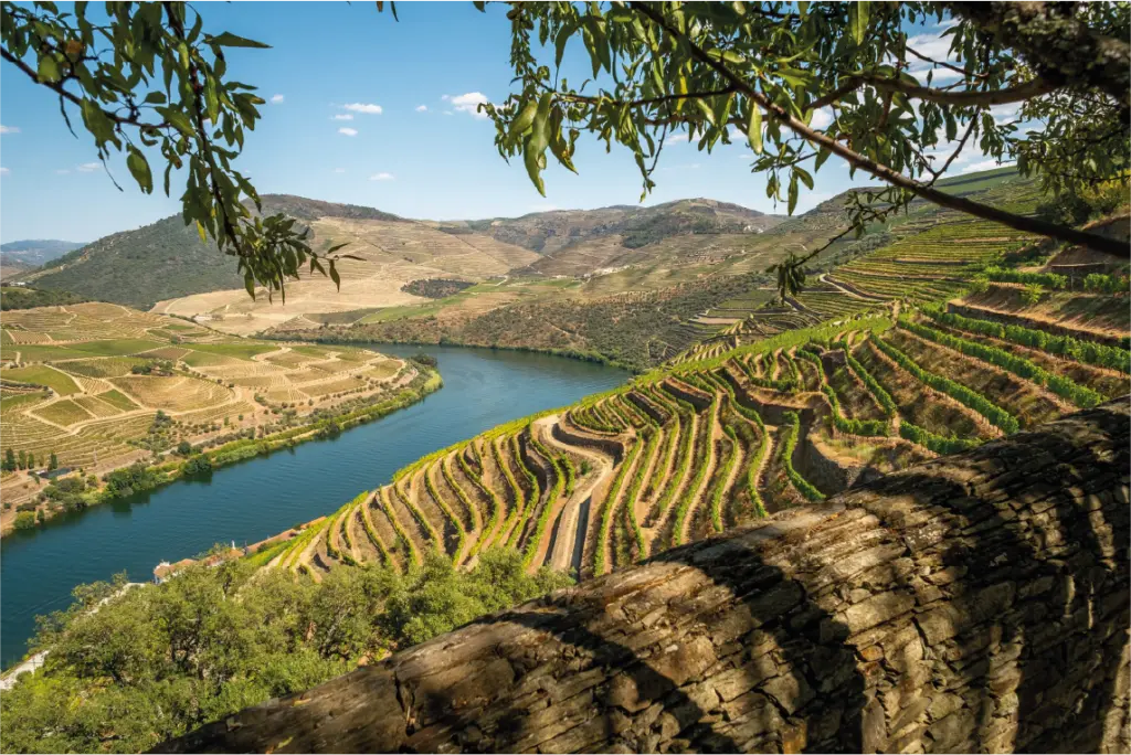 Valle del Duero