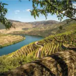 Valle del Duero