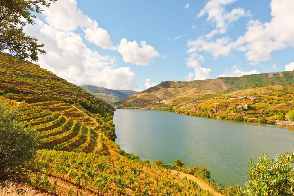 Valle del Duero